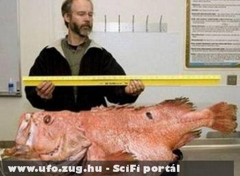 Ufonauták a földön?! (megdöbbentõ fotókkal!)