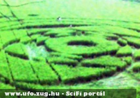 Ábrák és alakzatok a rizsföldön - újabb jeleket hagytak hátra az UFO-k