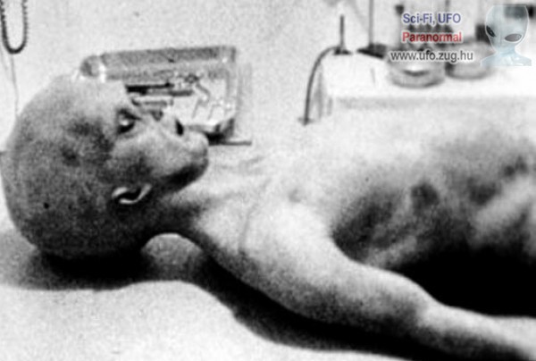 A NASA vezetője kijelentette: létezik földönkívüli élet