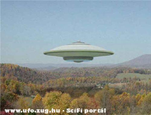 UFO az erdõ mellett