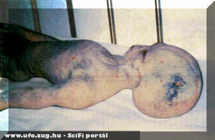 UFO nauta a boncasztalon