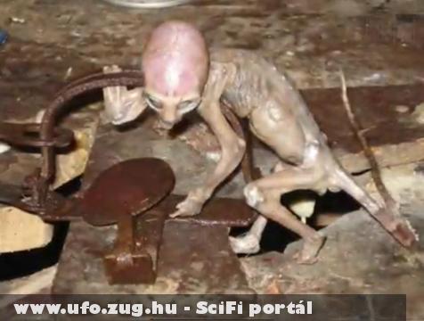 ufo csapdában