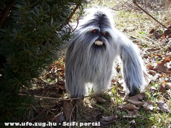 Kisyeti