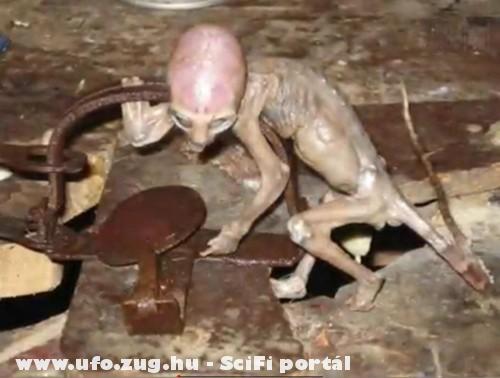 Vízbe fulladt ufó