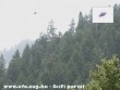 Ufo az erdõ felett