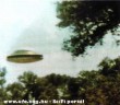 Ufo a fák között