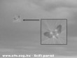 Pillangó alakú ufo