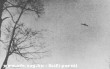 UFO a fák felett