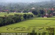 Gabonakör Yogakarta-ba (Indonézia)