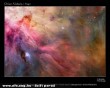 Nebula M42