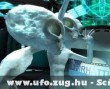 UFO-k a gépnél