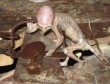 Csapdában az UFO