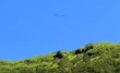 UFO a dombok felett?!