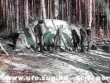 Lezuhant UFO