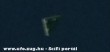 Ufo sötétben