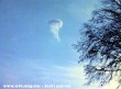 Medúza alakú Ufo