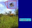Mi lehet ez?