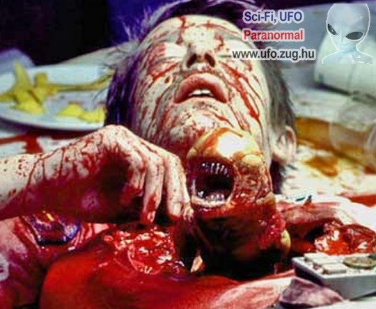 Űrpolipokat talált a NASA - videóval és képekkel