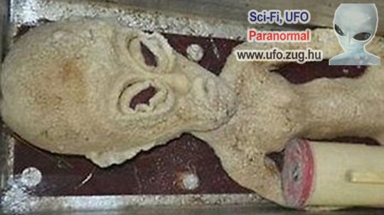 Mélyhűtőben tárol UFO tetemet egy kínai férfi