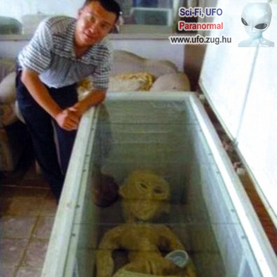 Mélyhűtőben tárol UFO tetemet egy kínai férfi