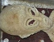 Mélyhűtőben tárol UFO tetemet egy kínai férfi